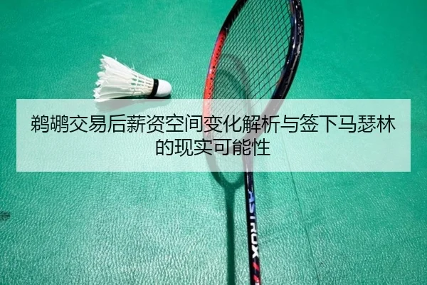 鹈鹕交易后薪资空间变化解析与签下马瑟林的现实可能性
